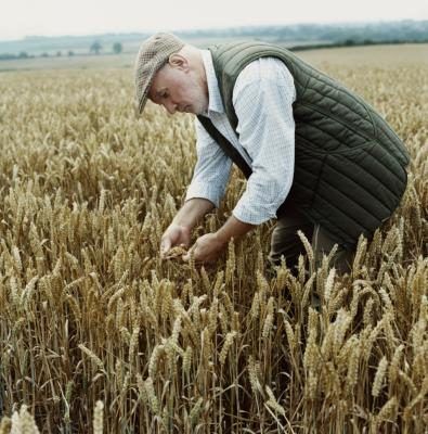 Agriculteur debout dans un champ de blé