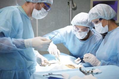 Une hystérectomie est l'ablation chirurgicale de l'utérus.