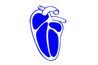 ablations de cathéter est destiné à fixer des irrégularités dans les battements du cœur.