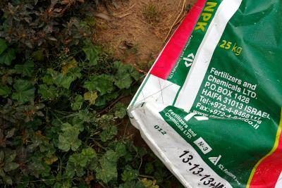 Utilisez un engrais formulé pour les pelouses dans votre partie du pays.