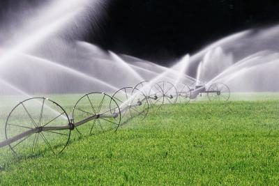 Utilisez un pluviomètre pour déterminer combien l'irrigation de votre pelouse obtient.