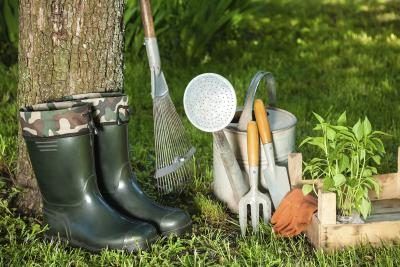 Assortiment d'outils de jardinage à côté de l'arbre