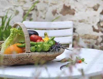 Un panier de jardin contenant des légumes frais cueillis sur une table en plein air.