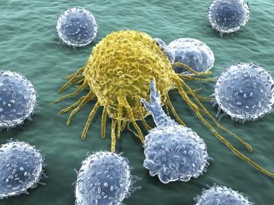 Les lymphocytes T qui attaquent une cellule cancéreuse
