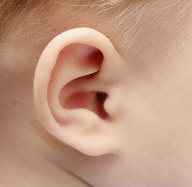 Gros plan d'un petit enfant oreille