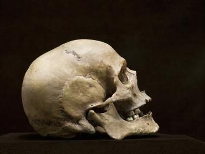 Anthropologues Foresnic peuvent être en mesure d'identifier les restes humains.