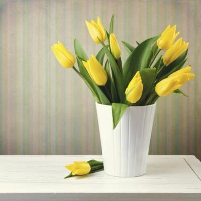 Tulipes jaunes sont généralement associés à