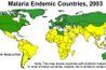 Pays où le paludisme est endémique