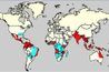 La dengue a été la résurgence dans les populations d'Amérique du Sud
