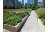 Lurie jardins Chicago. (One2c900d)