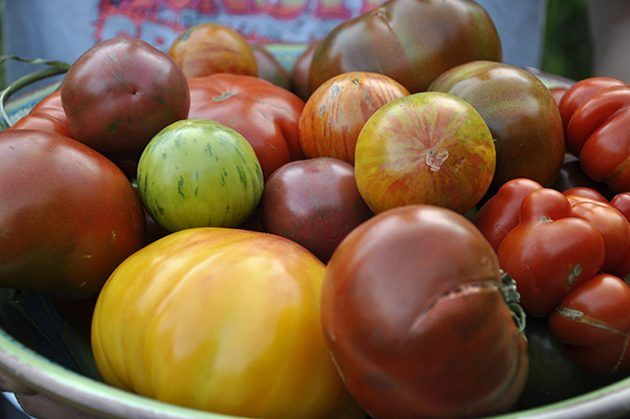 Variétés anciennes de légumes colorés sont riches en antioxydants et plus savoureux puis variétés achetées en magasin.
