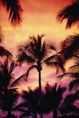 Hawaï coucher de soleil