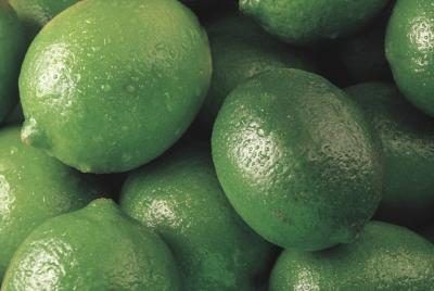 Il existe sept types de limes.