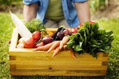 Jardinier avec boîte de légumes
