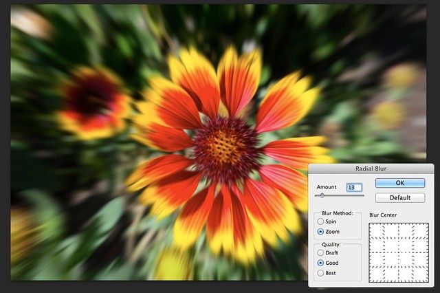 L'option Zoom sur le Flou Radial zoome sur une fleur.