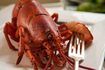 Combien de temps faut homard cuit rester frais?