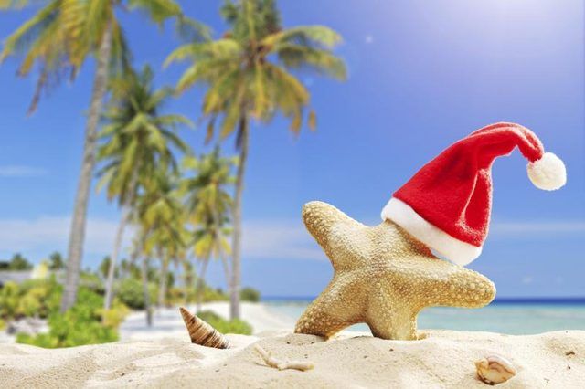 Starfish avec chapeau de Santa