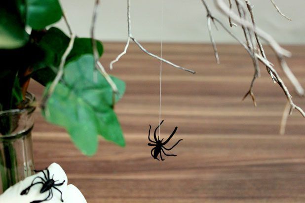 Dangle une araignée avec du fil