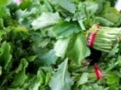 Ajouter une salade verte pour améliorer le goût lumière de tilapia.