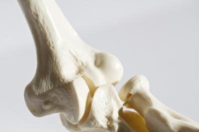 La moelle osseuse est le tissu adipeux à l'intérieur de vos os.