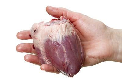 Cœur humain à la main.
