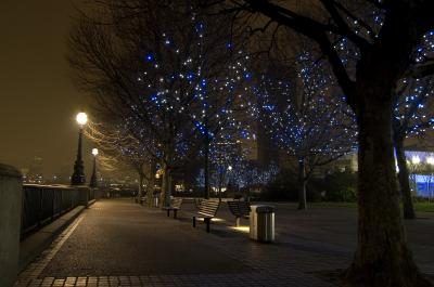 Un parc de la ville est bordée d'arbres enfilées avec des lumières bleues et blanches.