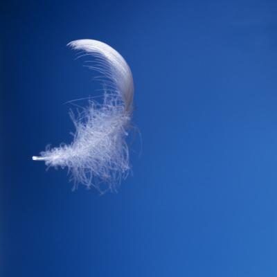 Les plumes sont un symbole de l'élément de l'air.
