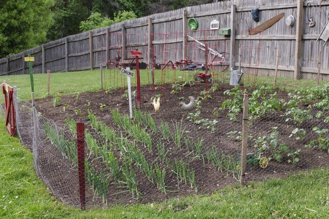 Quand devriez-vous planter un jardin de légumes dans le Michigan?