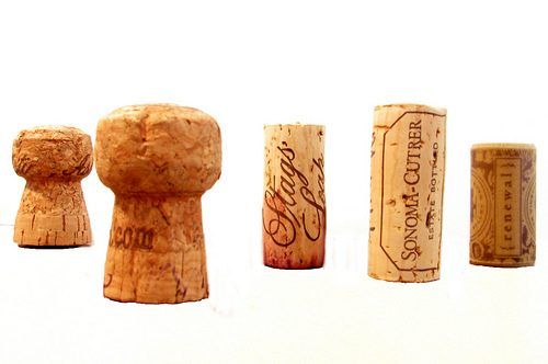 Cork bouchons de bouteilles sont produites à partir de l'écorce du chêne-liège.